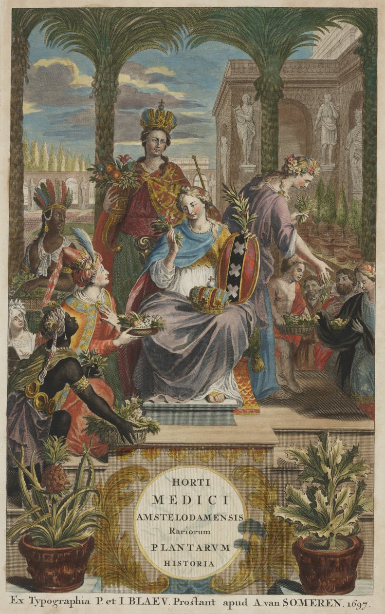 Strona tytułowa z "Horti Medici Amstelodamensis Rariorum Plantarum Historia" vol. I, autorstwa Jana Commelina autorstwa Dutch School