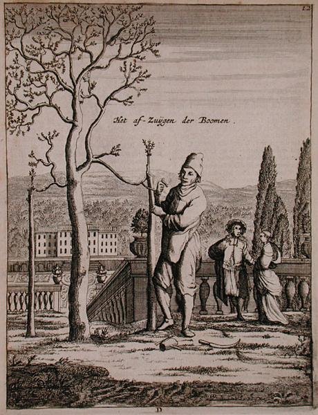 Szkolenie espaliera, z „De Nederlandze Hesperides” Jana Commelina, opublikowane 1676 (rycina) autorstwa Dutch School