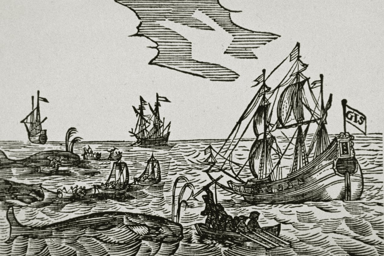 Statki wielorybnicze, z „Journael” Jacoba Segersza van der Brugge autorstwa Dutch School