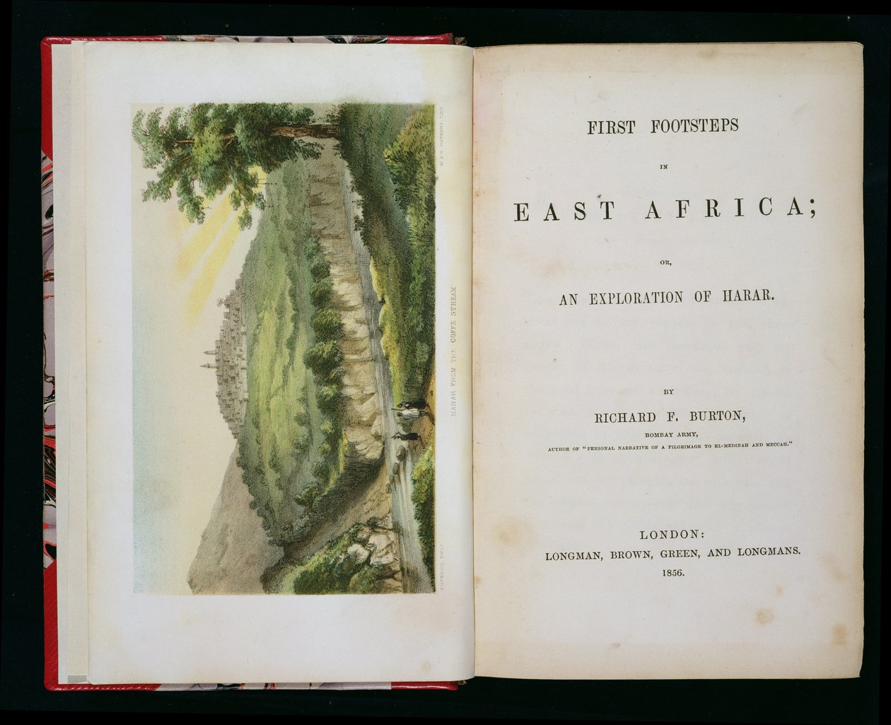 Harar z Coffee Stream, z książki First Footsteps in East Africa: An Exploration of Harar, autorstwa Richarda F. Burtona (1821-90), grawerowane przez M & N Hanhart autorstwa Duteroq