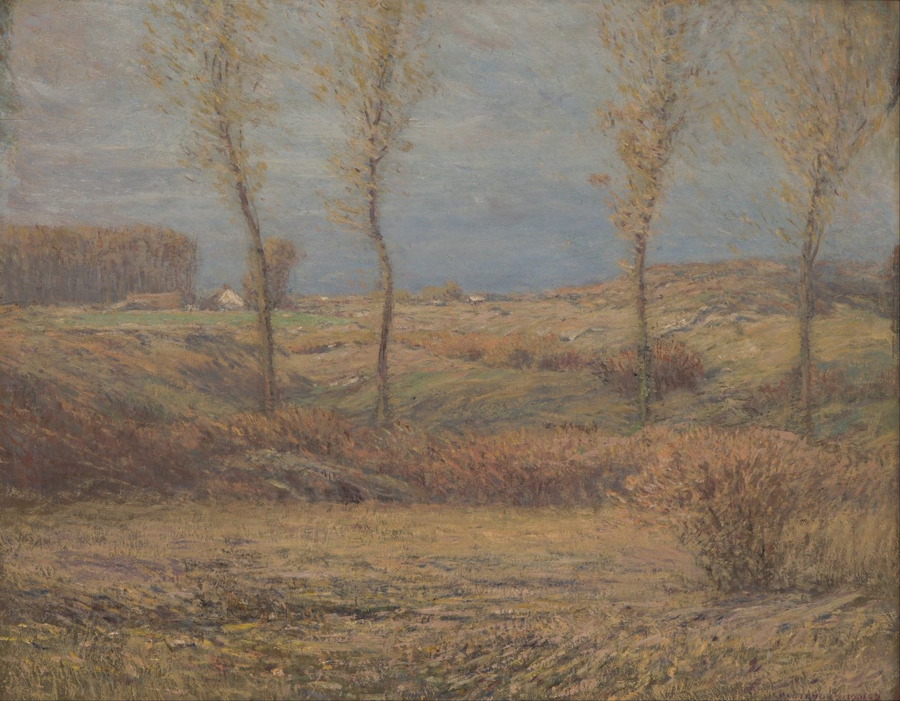 Listopadowy poranek autorstwa Dwight William Tryon