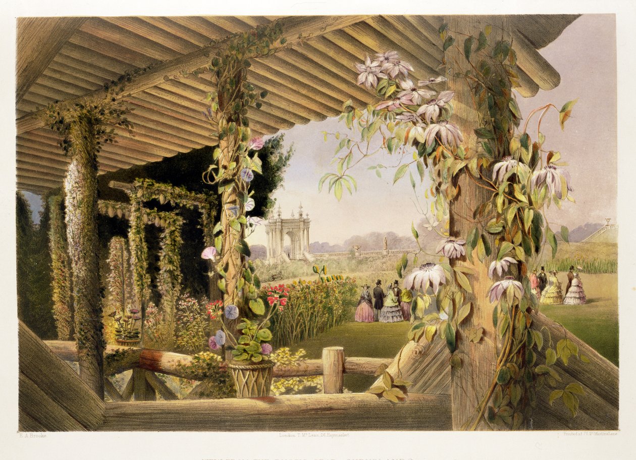 Widok z rustykalnego siedziska, Shrublands, z „The Gardens of England”, opublikowanej w 1857 r. autorstwa E. Adveno Brooke
