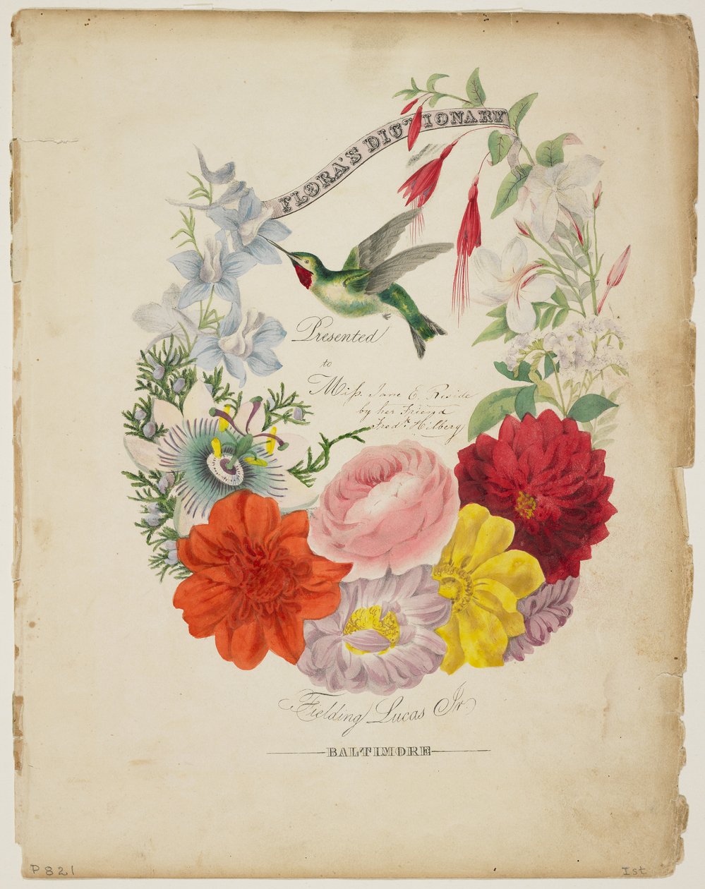 Strona prezentacyjna, girlanda kwiatowa i kolibr, ze słownika Flory, 1838 r autorstwa E. W. Wirt