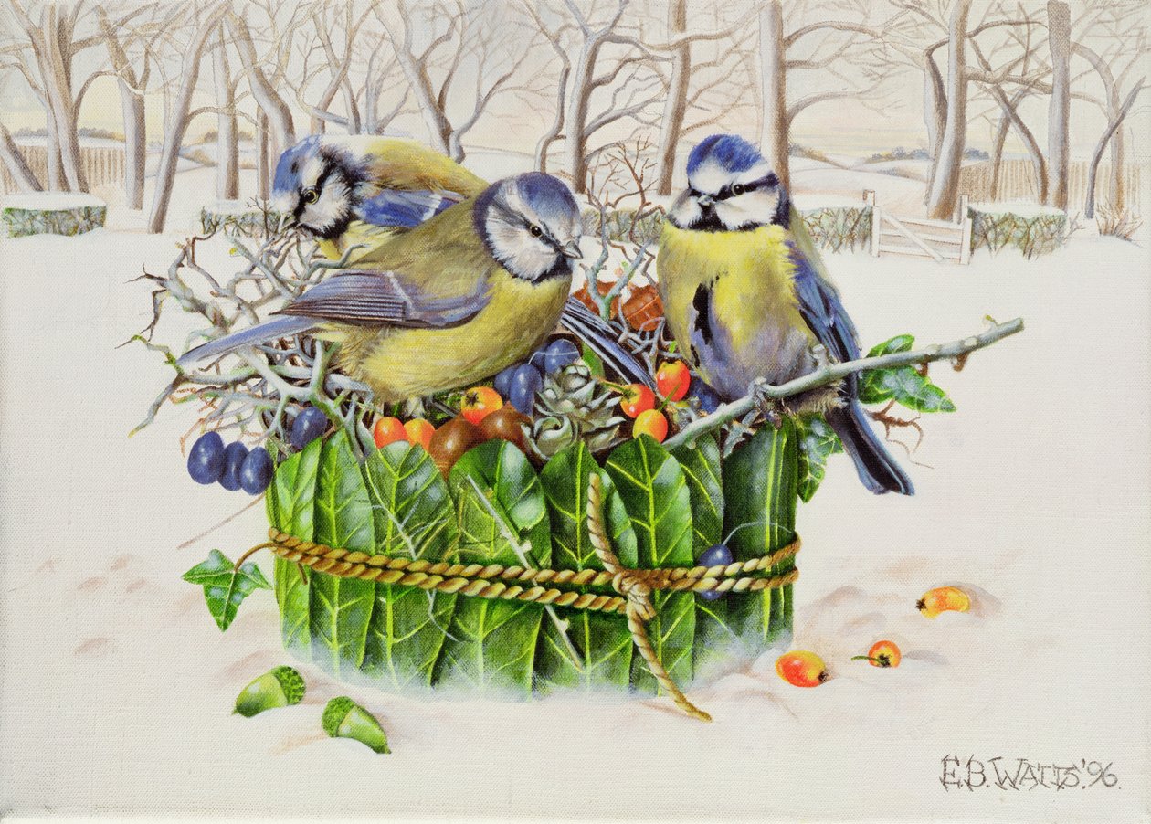 Blue Tits in Leaf Nest, 1996 (akryl na płótnie) autorstwa E.B. Watts