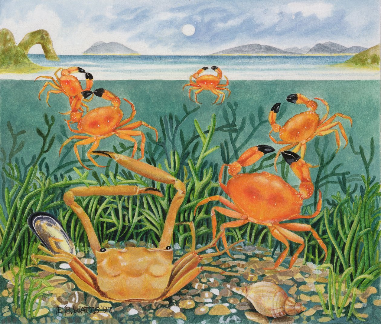Kraby w oceanie, 1997 (akryl na papierze) autorstwa E.B. Watts