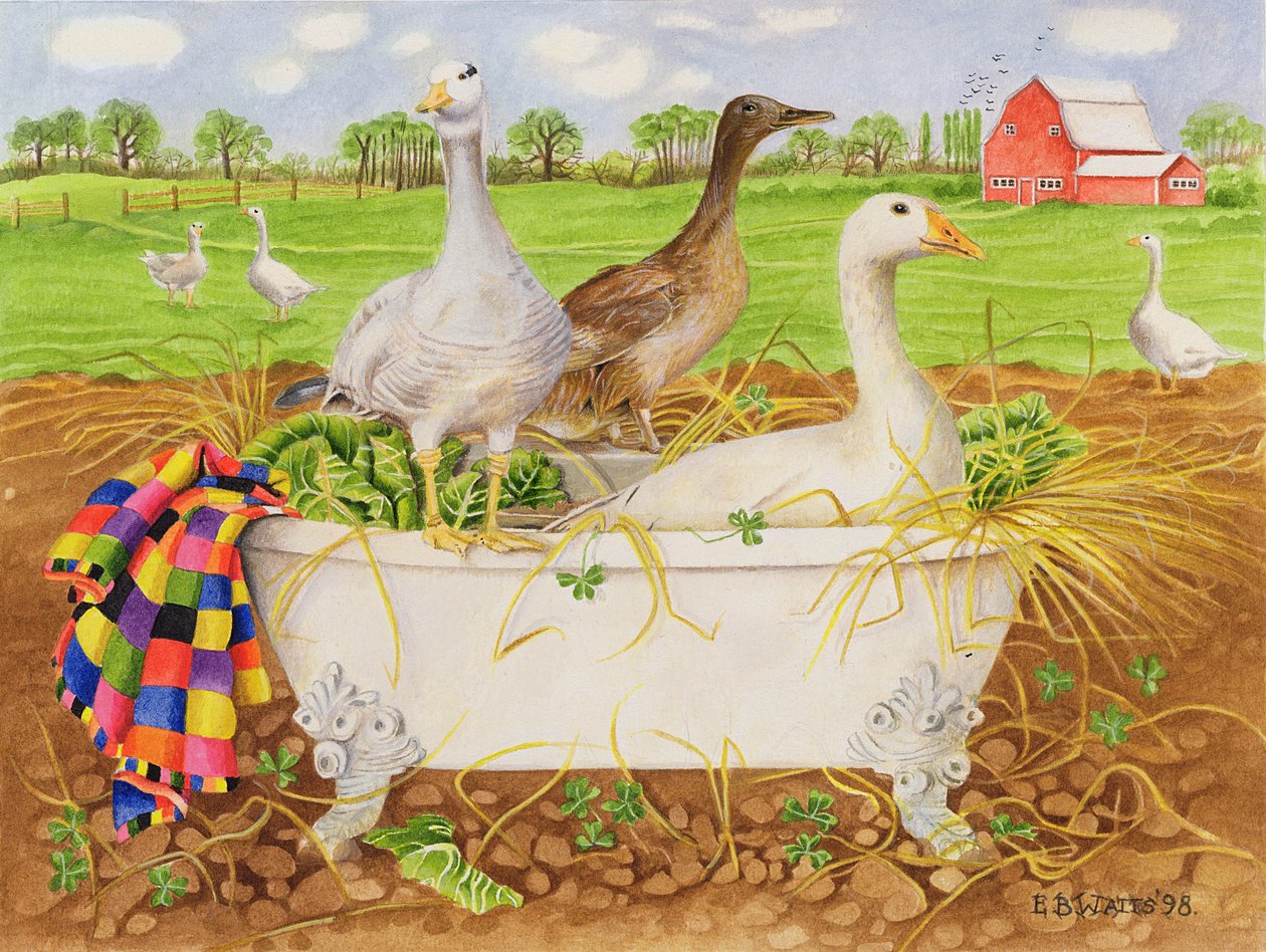 Gęsi w wannie, 1998 (akryl na papierze) autorstwa E.B. Watts