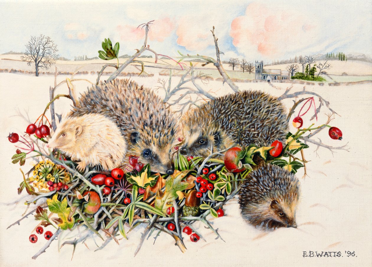 Jeże w Hedgerow Basket, 1996 (akryl na płótnie) autorstwa E.B. Watts