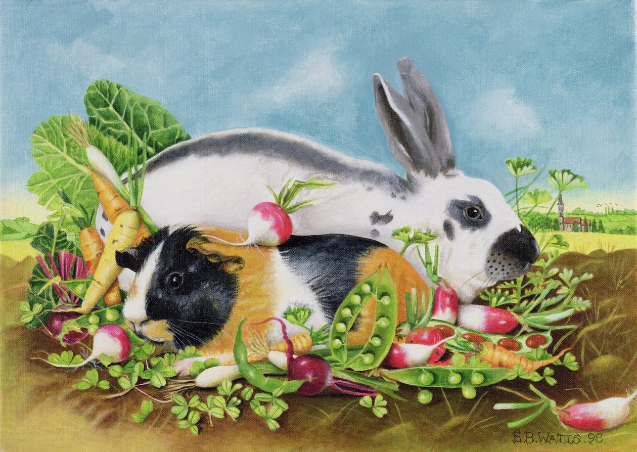 Królik i świnka morska, 1998 (akryl na płótnie) autorstwa E.B. Watts