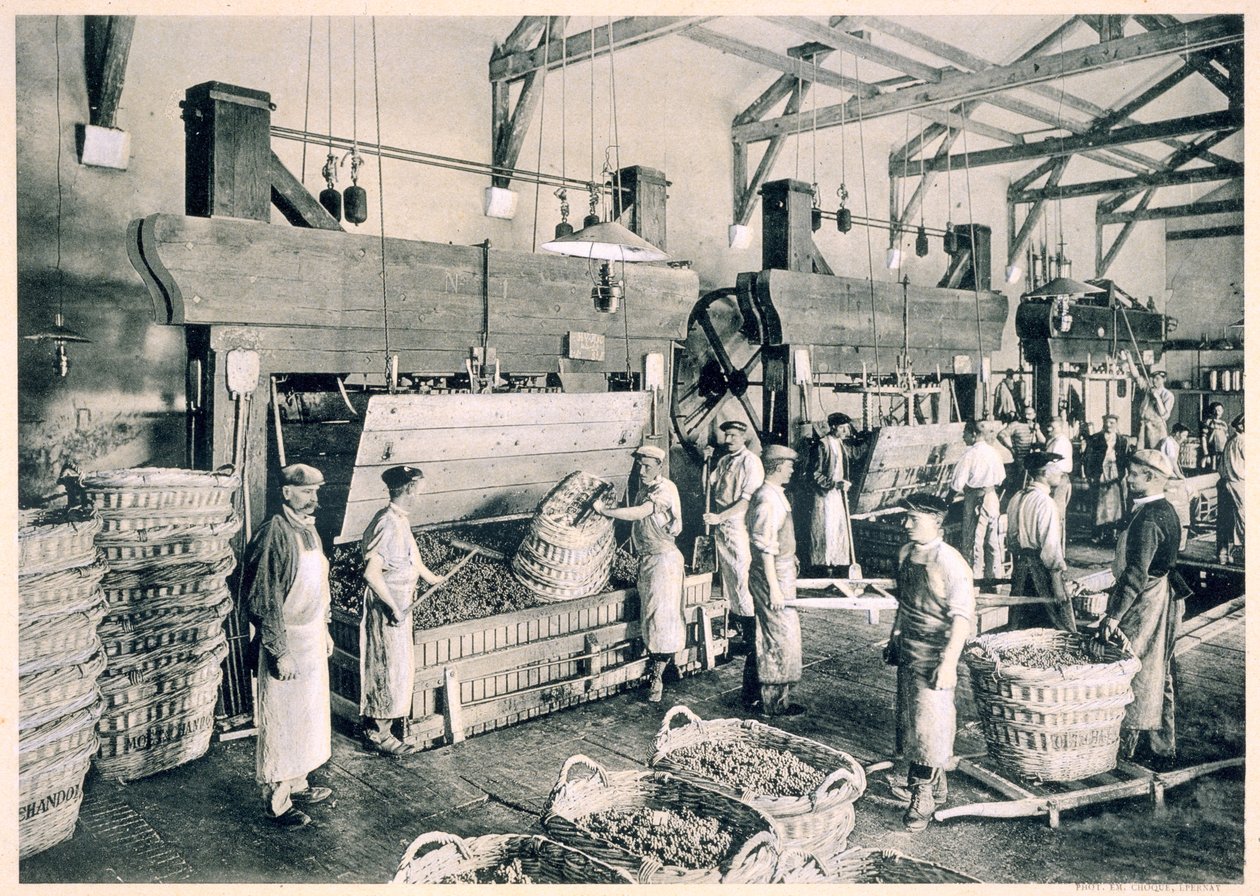 Zbieranie winogron w koszach, z "Le France Vinicole", wyd. Moet und Chandon, Epernay (fotolitografia) autorstwa E.M. Choque