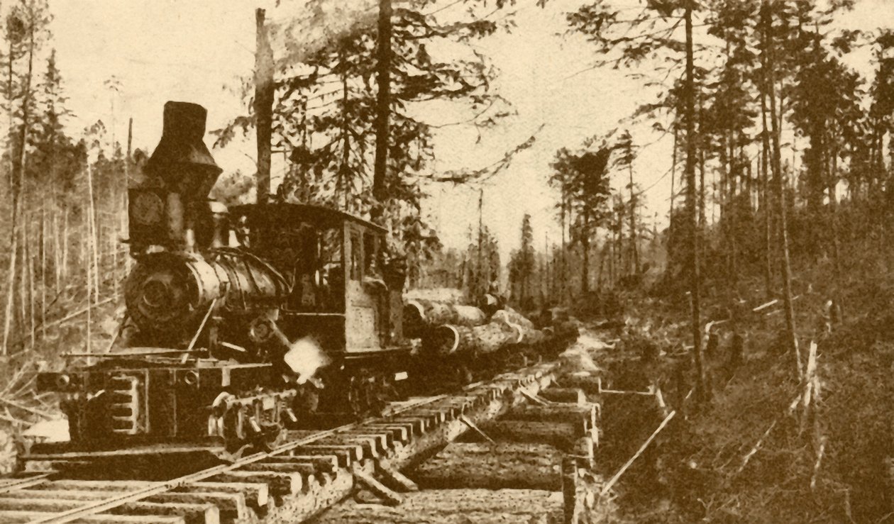 Kolejka leśna, Kolumbia Brytyjska, 1930. autorstwa ENA