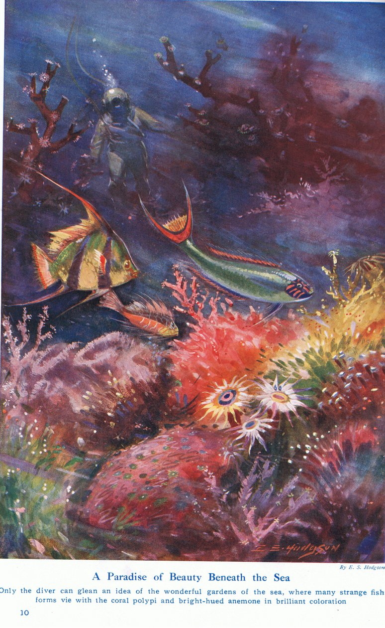 A Paradise of Beauty Beneath the Sea, ilustracja z „Wonders of Land and Sea”, wydanej przez Cassell, Londyn, 1914 autorstwa E.S. Hodgson