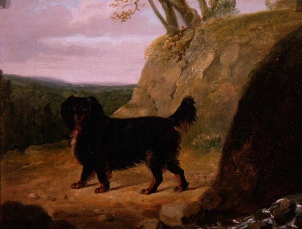 Cocker Spaniel w krajobrazie autorstwa E.W. Gill