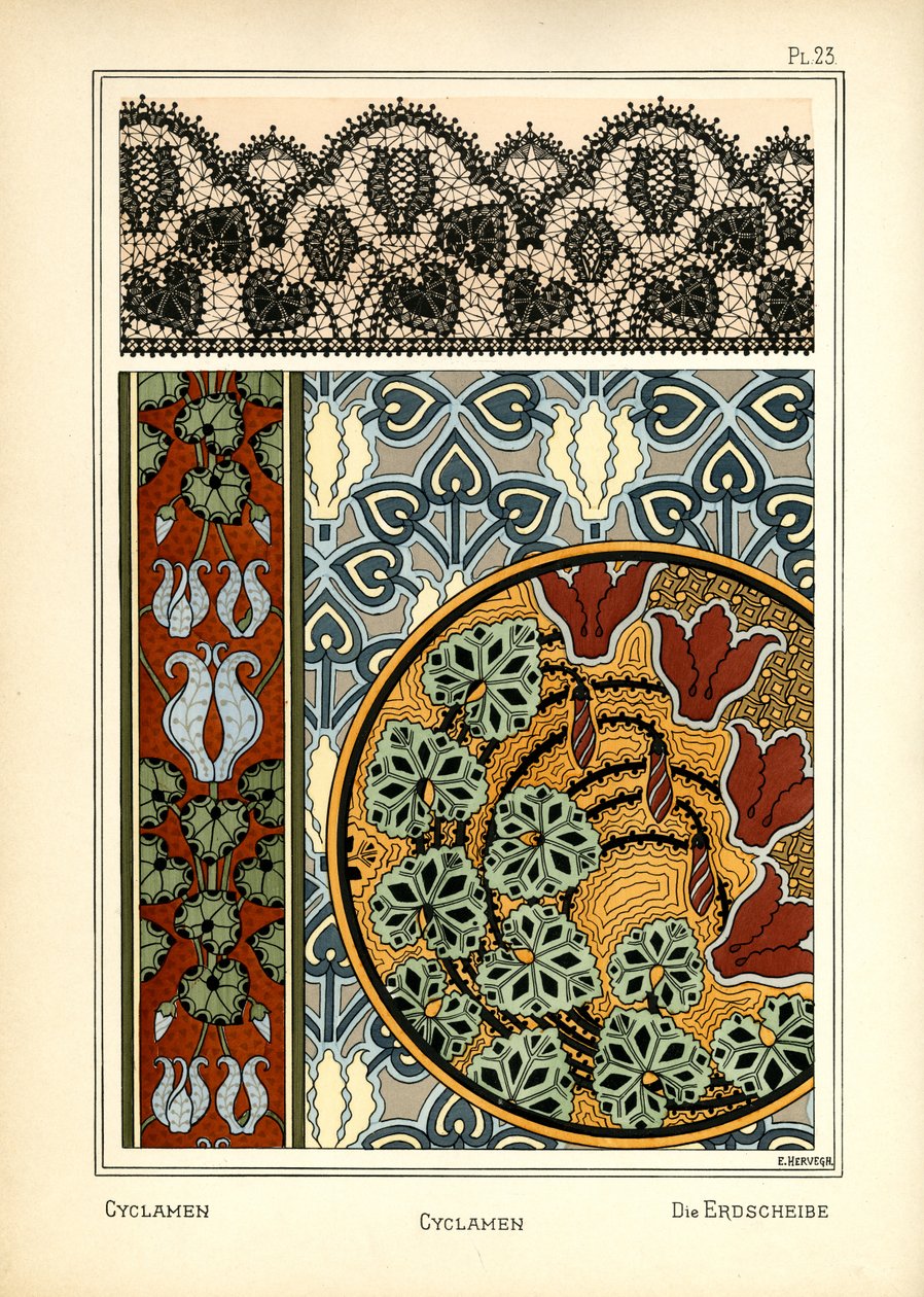 Cyklamen autorstwa E. Hervegh