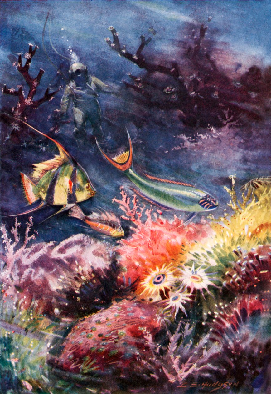  autorstwa E. S. (after) Hodgson
