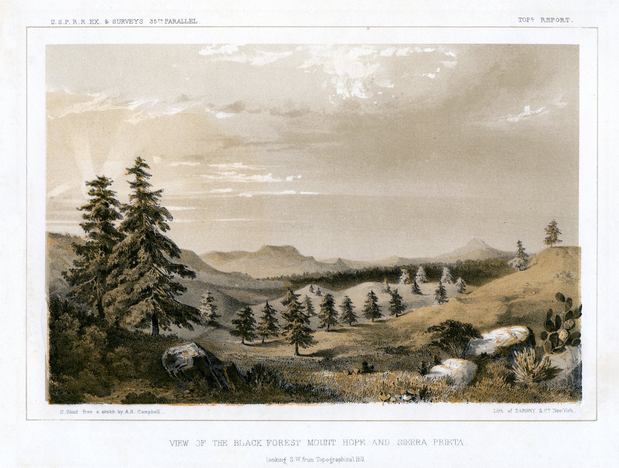 Czarny Las Góra Nadzieja i Sierra Prieta, USA, 1856. autorstwa E Stout