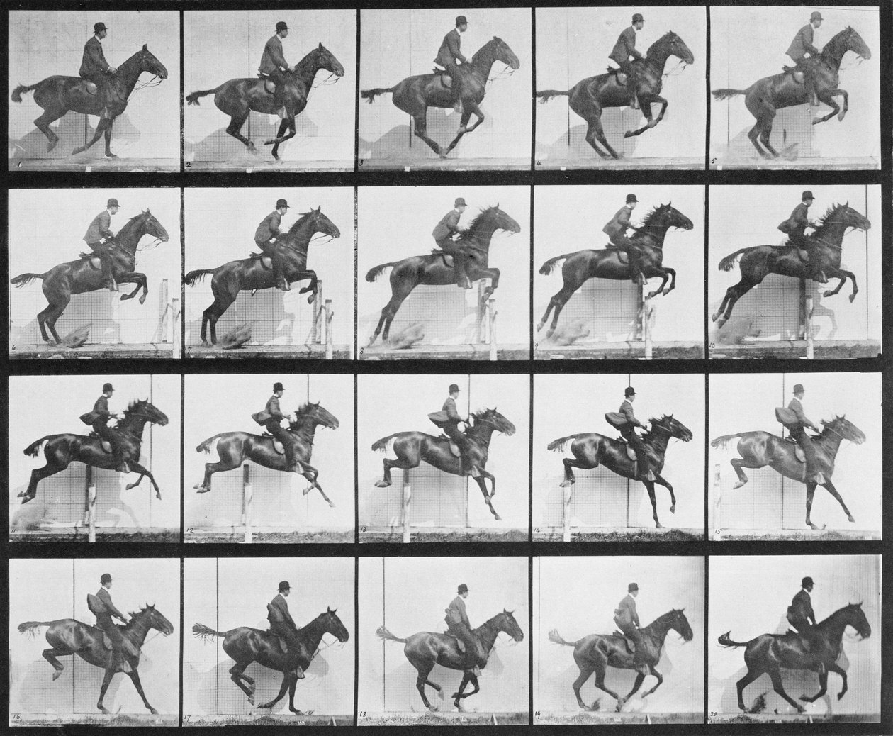 Człowiek i koń skaczący przez płot, tablica 640 z „Animal Locomotion”, 1887 autorstwa Eadweard Muybridge