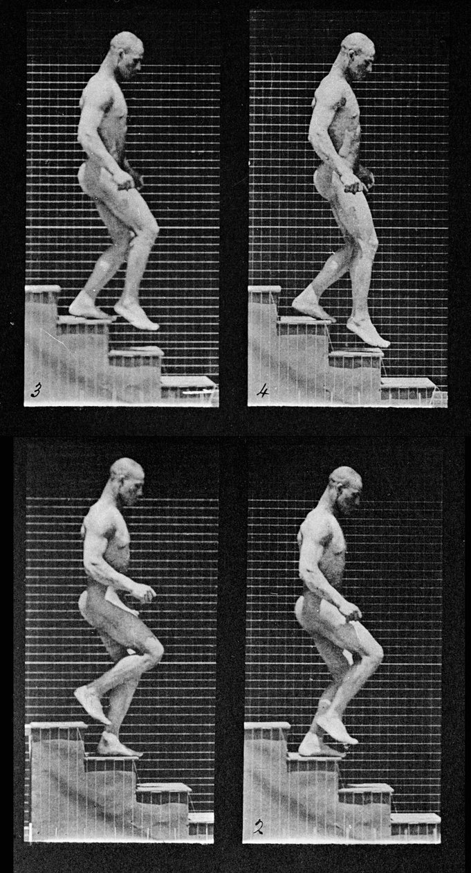 Mężczyzna schodzący po schodach, z filmu Lokomocja zwierząt, 1887 (detal 425605) autorstwa Eadweard Muybridge