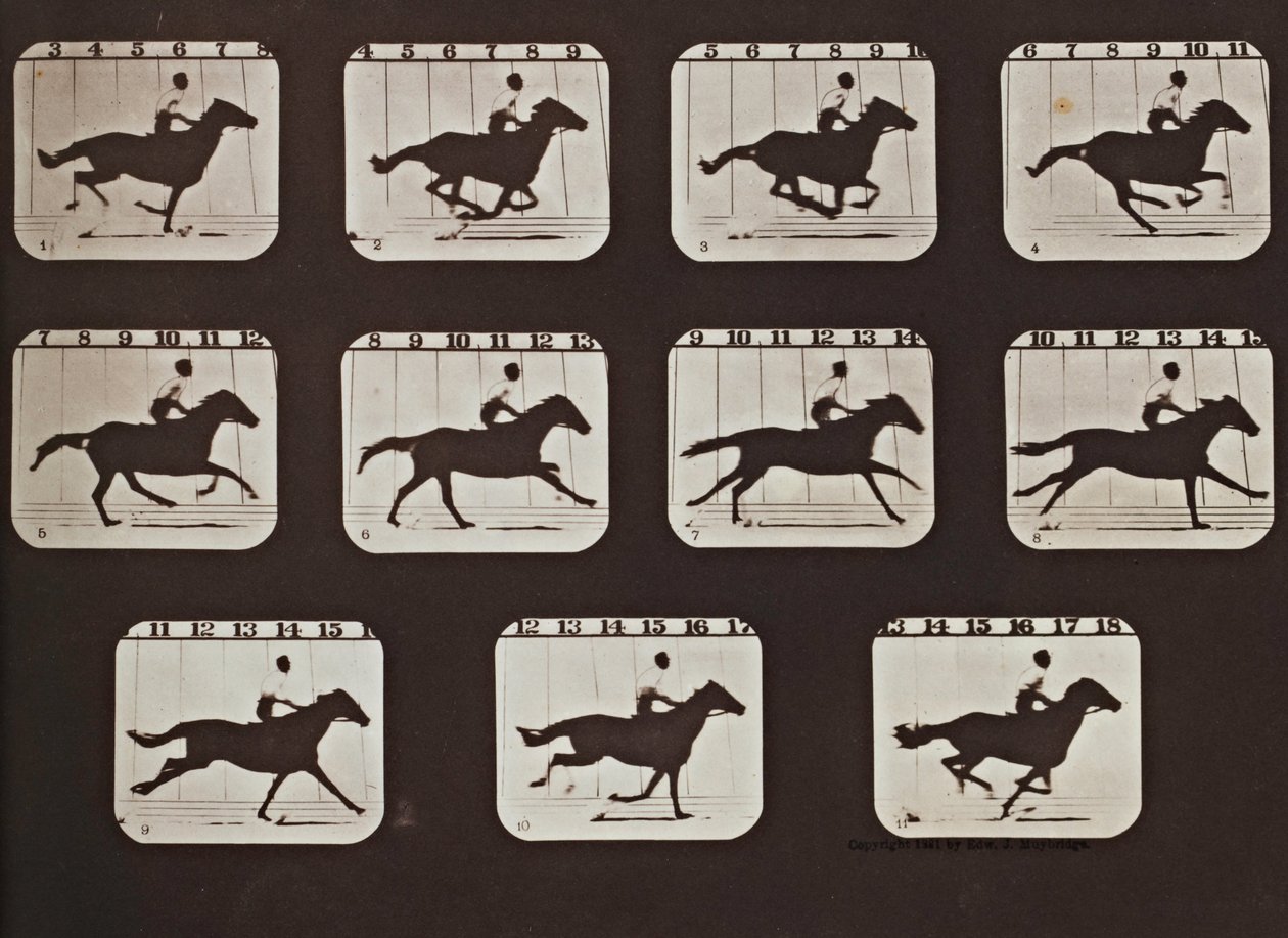 Sallie Gardner uciekająca od postaw zwierząt w ruchu autorstwa Eadweard Muybridge