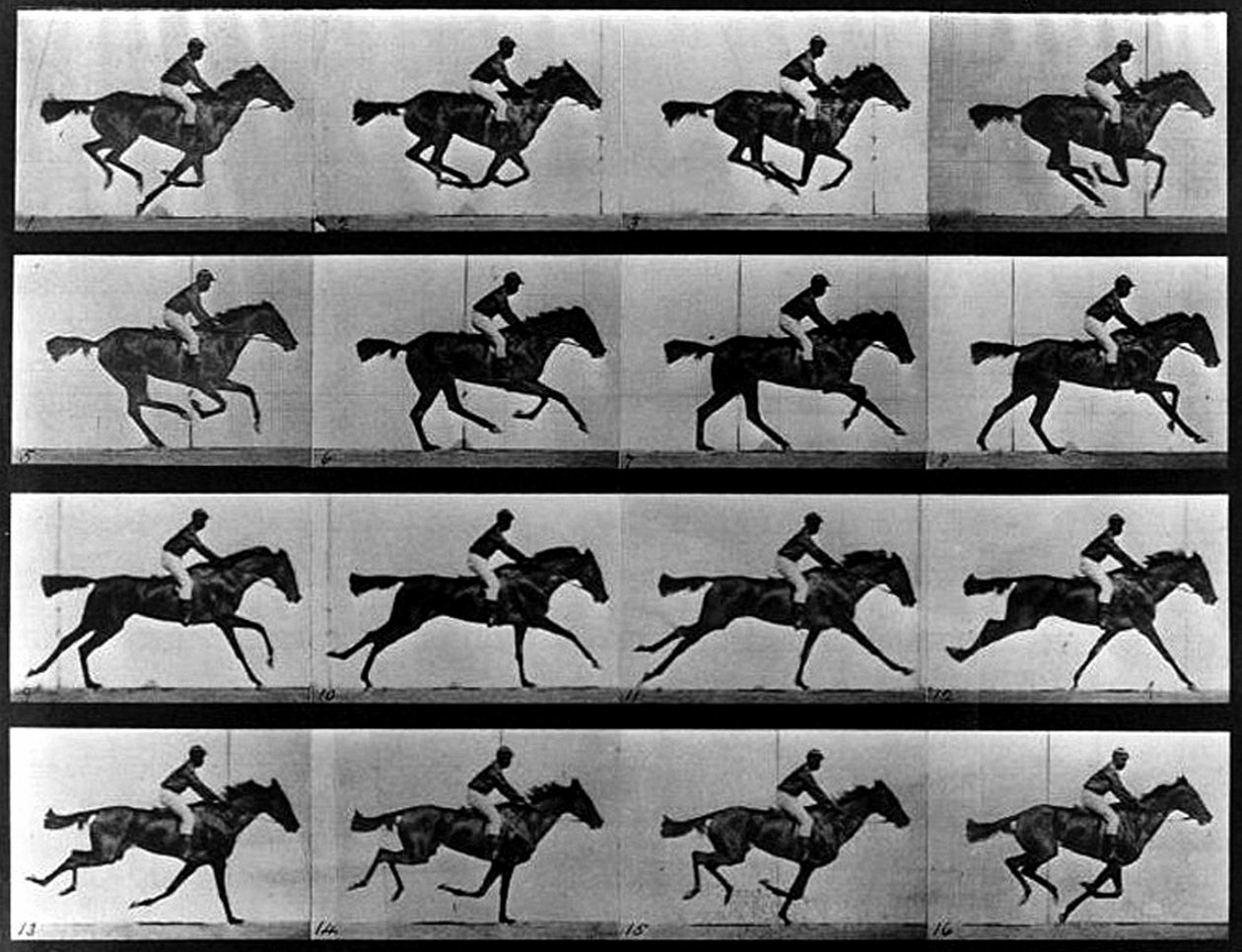 Fotografia sekwencyjna autorstwa Eadweard Muybridge