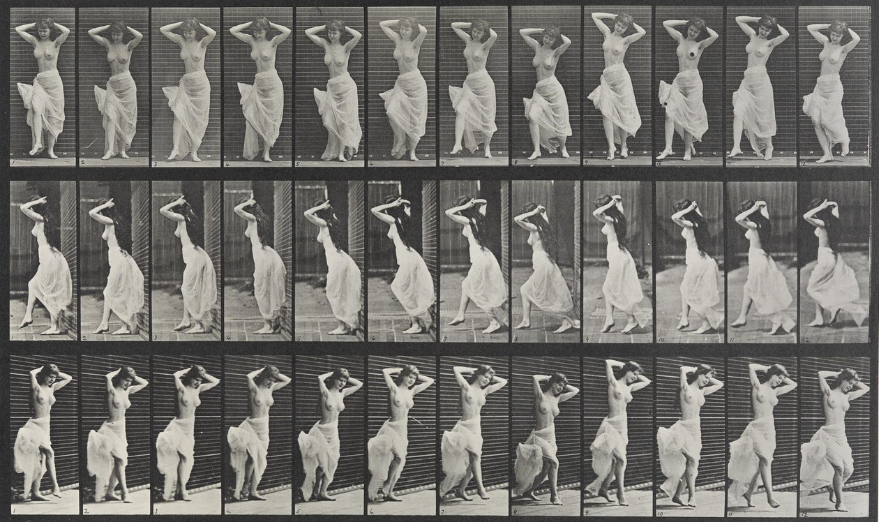 Płytka lokomocji zwierząt 190 autorstwa Eadweard Muybridge