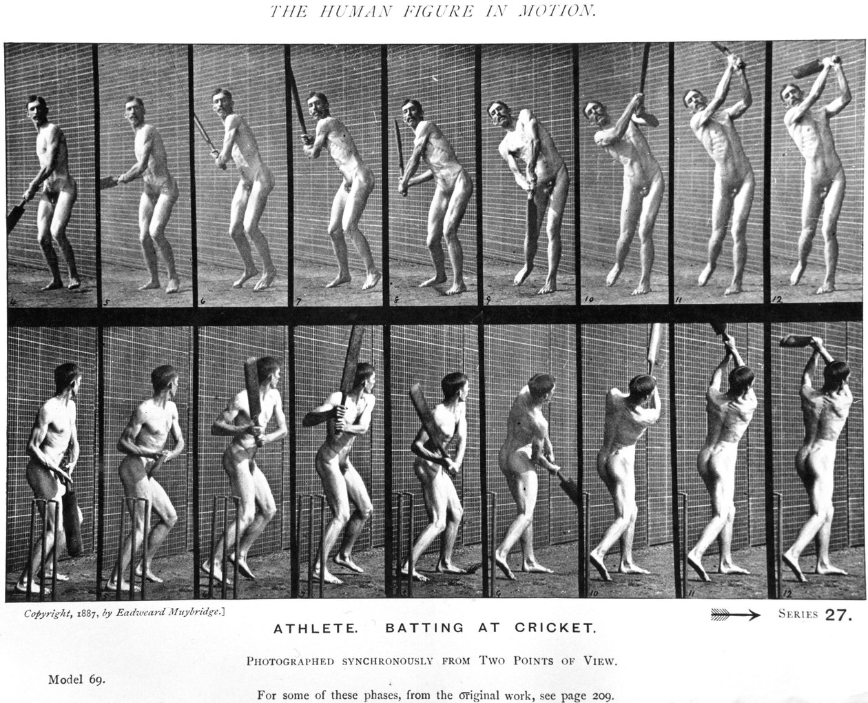 Krykiecista, z "Animal Locomotion", 1887 autorstwa Eadweard Muybridge