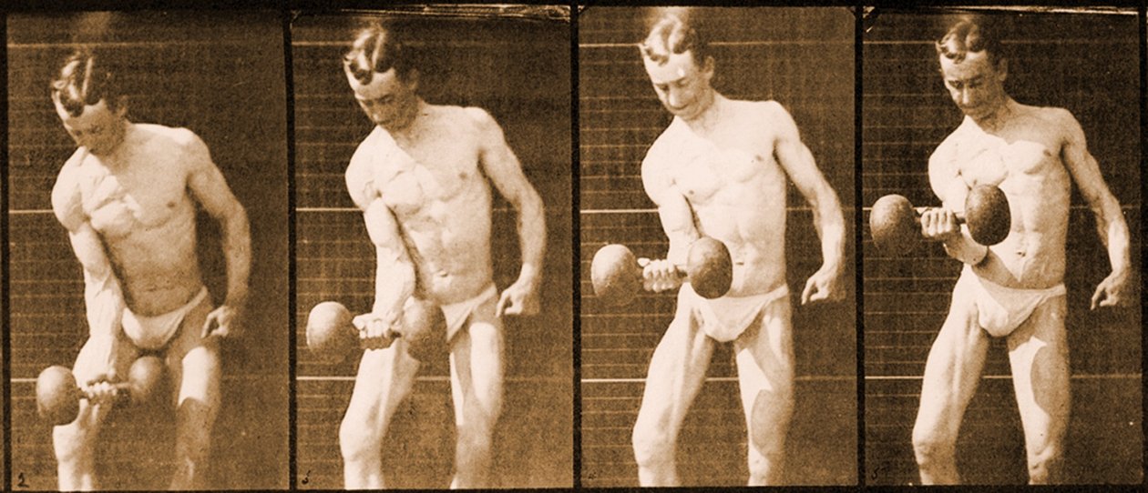 Obraz z serii „Animal Locomotion”, c.1887 autorstwa Eadweard Muybridge