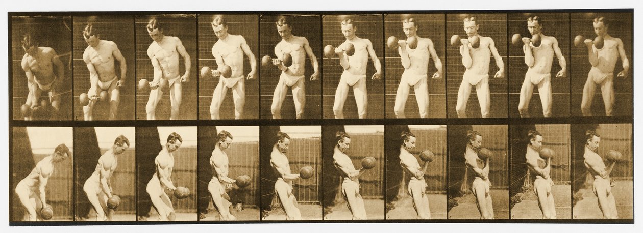 Obraz z serii „Animal Locomotion”, c.1887 autorstwa Eadweard Muybridge