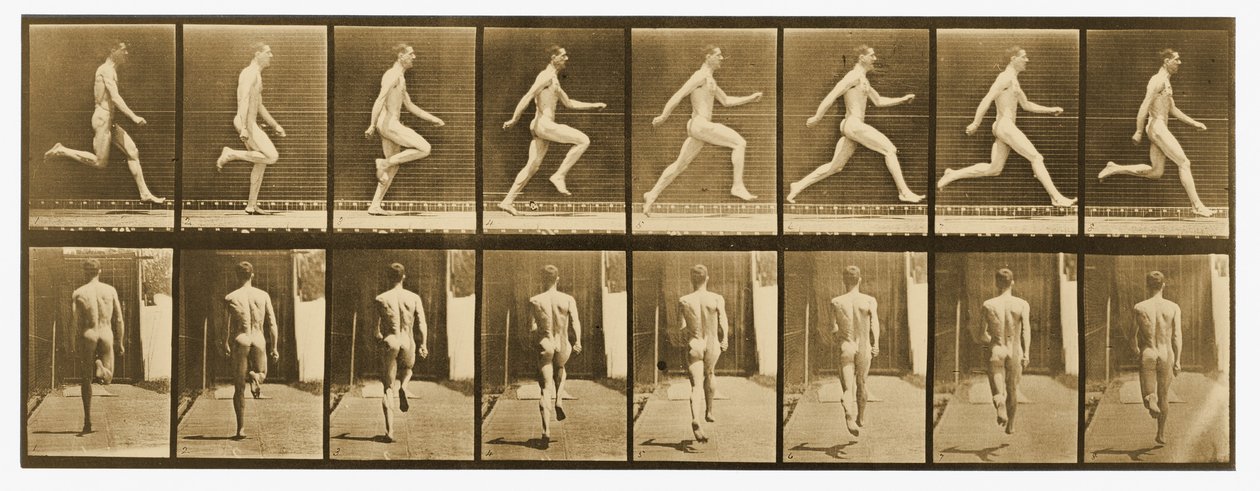 Obraz z serii „Animal Locomotion”, c.1887 autorstwa Eadweard Muybridge
