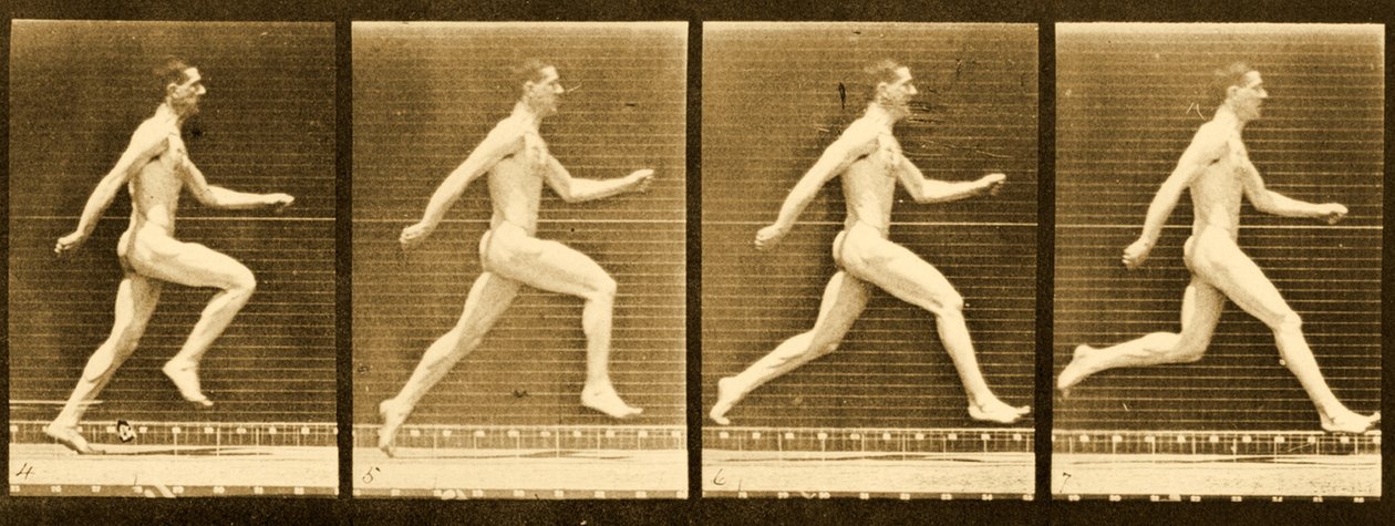 Sekwencja obrazów z serii „Animal Locomotion”, c.1887 autorstwa Eadweard Muybridge