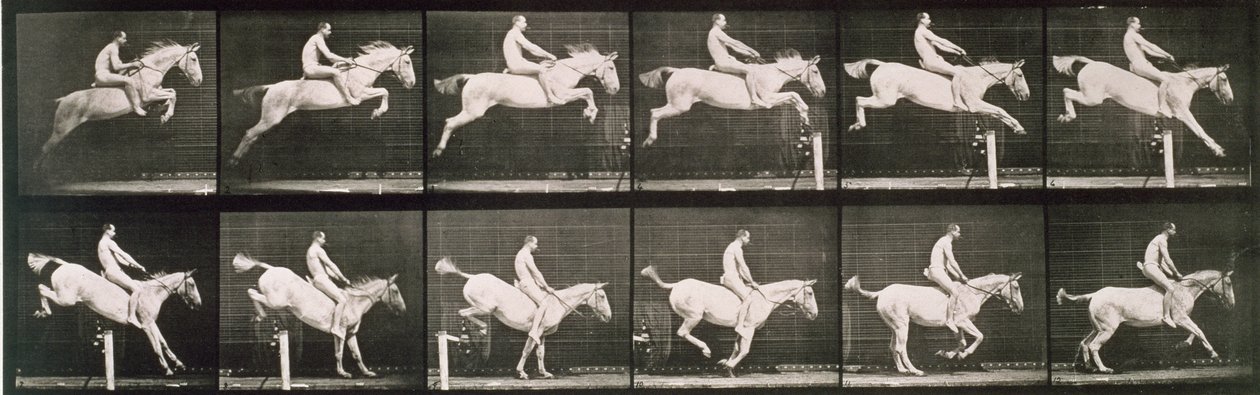 Człowiek i koń skaczący przez płot, tablica 643 z filmu „Animal Locomotion”, 1887 autorstwa Eadweard Muybridge