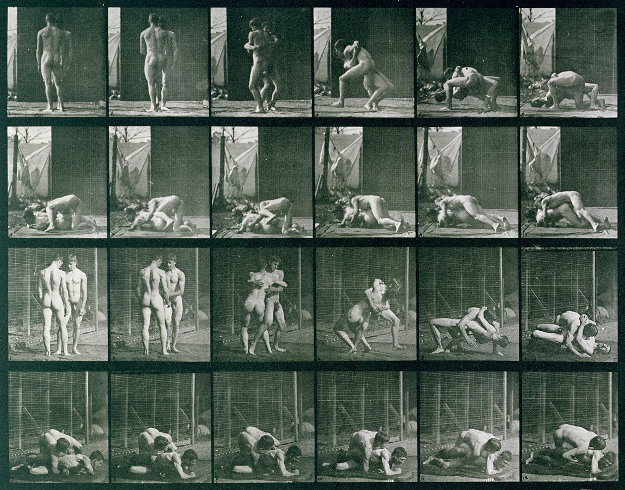 Dwaj mężczyźni walczący w zapasach, płyta 346 z "Animal Locomotion", 1887 autorstwa Eadweard Muybridge