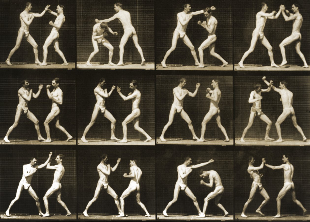 Dwóch mężczyzn bokserskich z filmu „Animal Locomotion; seria, ok.1881 autorstwa Eadweard Muybridge