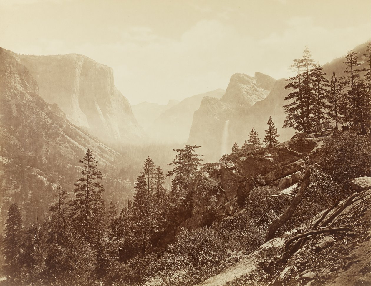 Dolina Yosemite (wczesny poranek z jasnej skały), 1872 (odbitka albuminowa mamuta) autorstwa Eadweard Muybridge