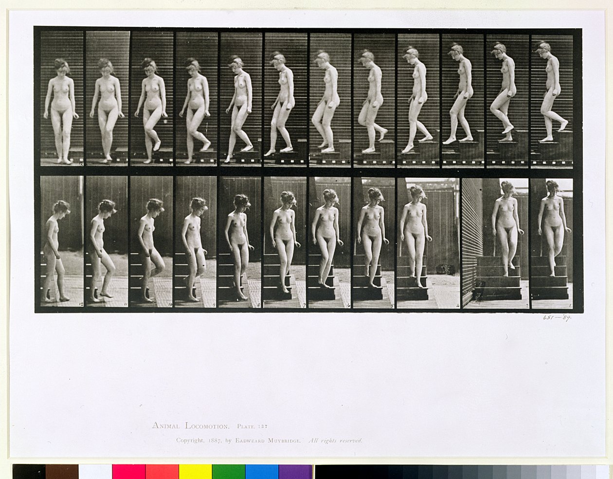 Kobieta schodząca po schodach, tablica 137 z "Animal Locomotion", 1887 autorstwa Eadweard Muybridge