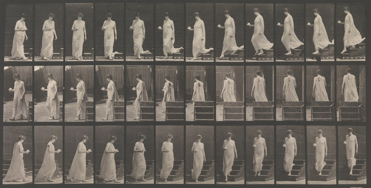 Lokomocja zwierząt. Badanie elektrofotograficzne... ruchów zwierząt. Rozpocznij..., lata 80. XIX wieku. autorstwa Eadweard Muybridge