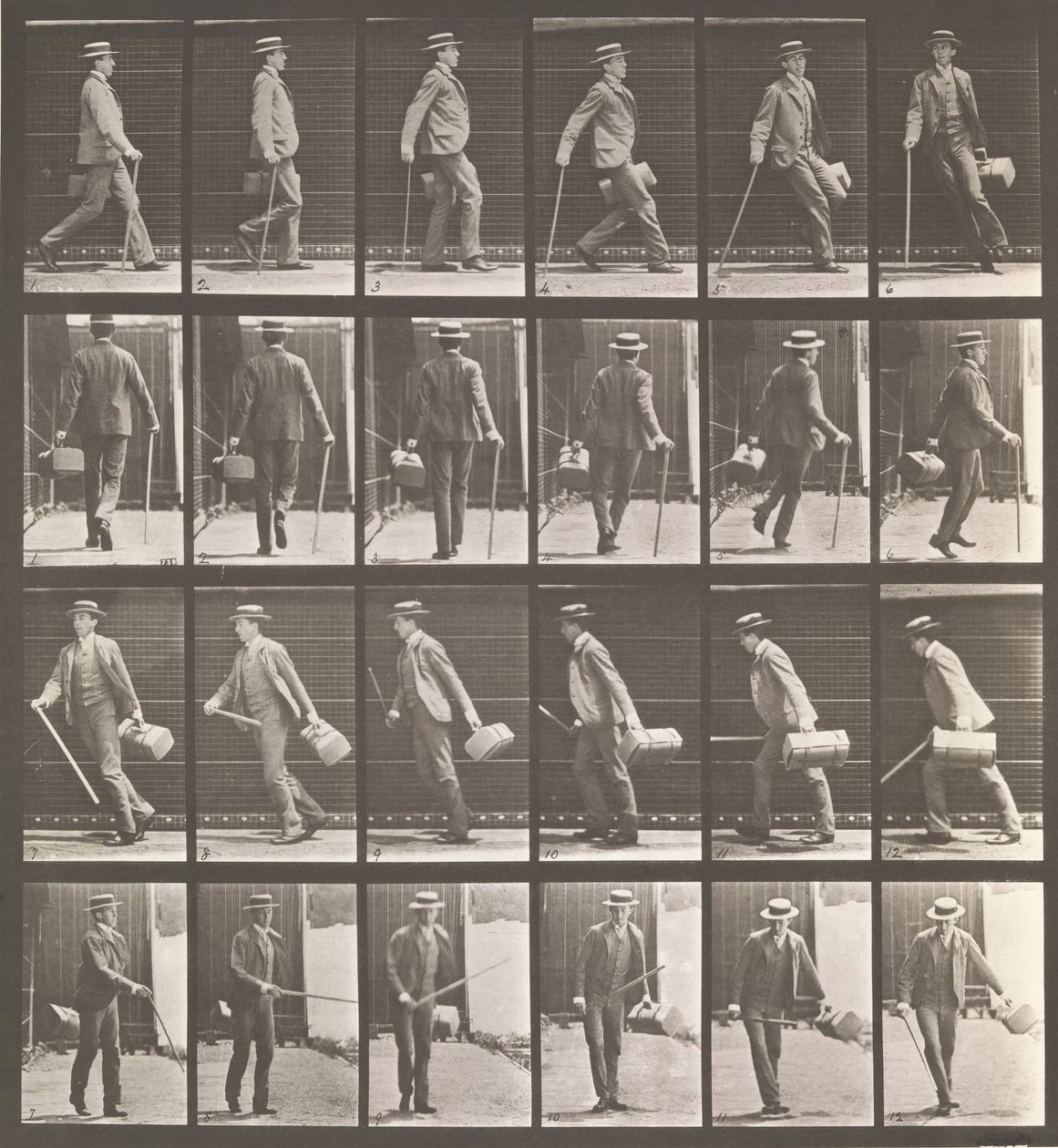 Lokomocja zwierząt. Badanie elektrofotograficzne... ruchów zwierząt. Rozpocznij..., lata 80. XIX wieku. autorstwa Eadweard Muybridge