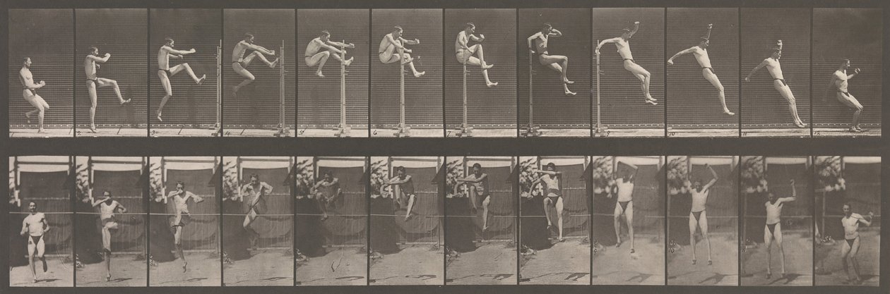 Lokomocja zwierząt. Elektrofotograficzne badanie kolejnych faz zwierząt..., lata 80. XIX wieku. autorstwa Eadweard Muybridge