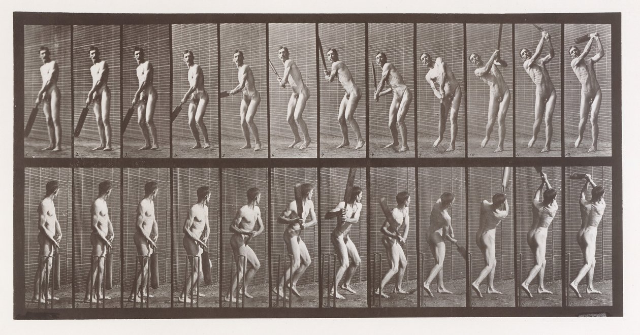 Lokomocja zwierząt. Elektrofotograficzne badanie kolejnych faz zwierząt..., lata 80. XIX wieku. autorstwa Eadweard Muybridge