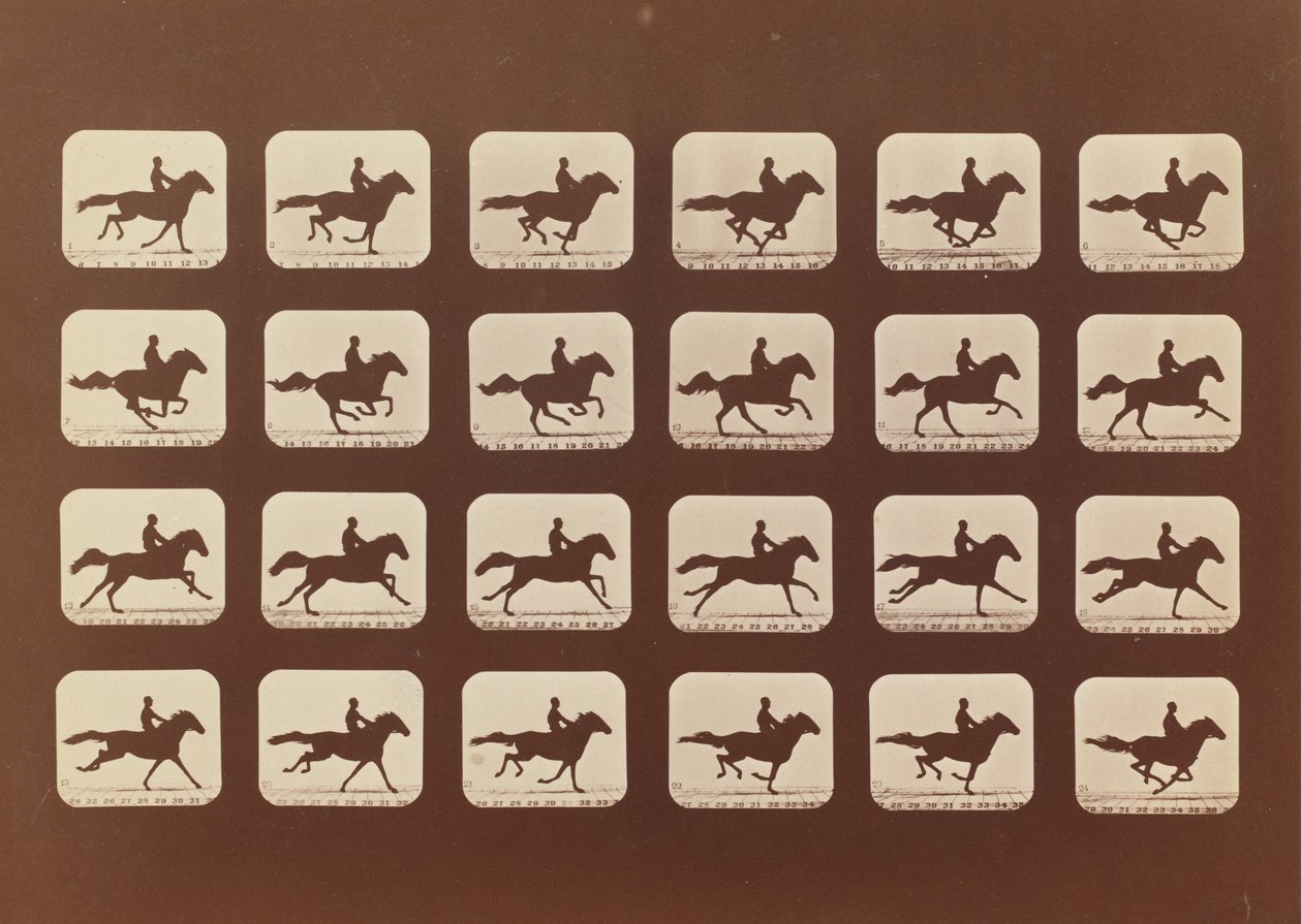 Konie. Działanie. Phyrne L. nr 40, 1879. autorstwa Eadweard Muybridge