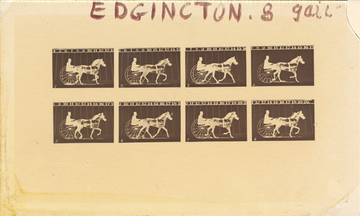 Internatywna dla koni. Kłus. Abe Edgeington. nr 28, 1878. autorstwa Eadweard Muybridge