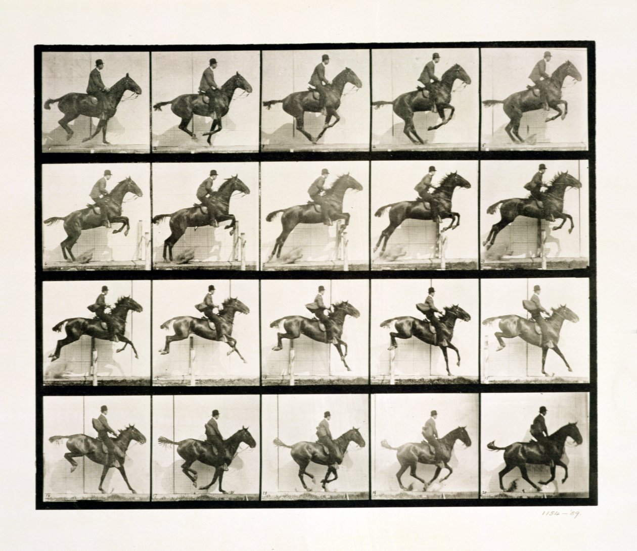 Człowiek i koń skaczący przez płot, 1887 autorstwa Eadweard Muybridge