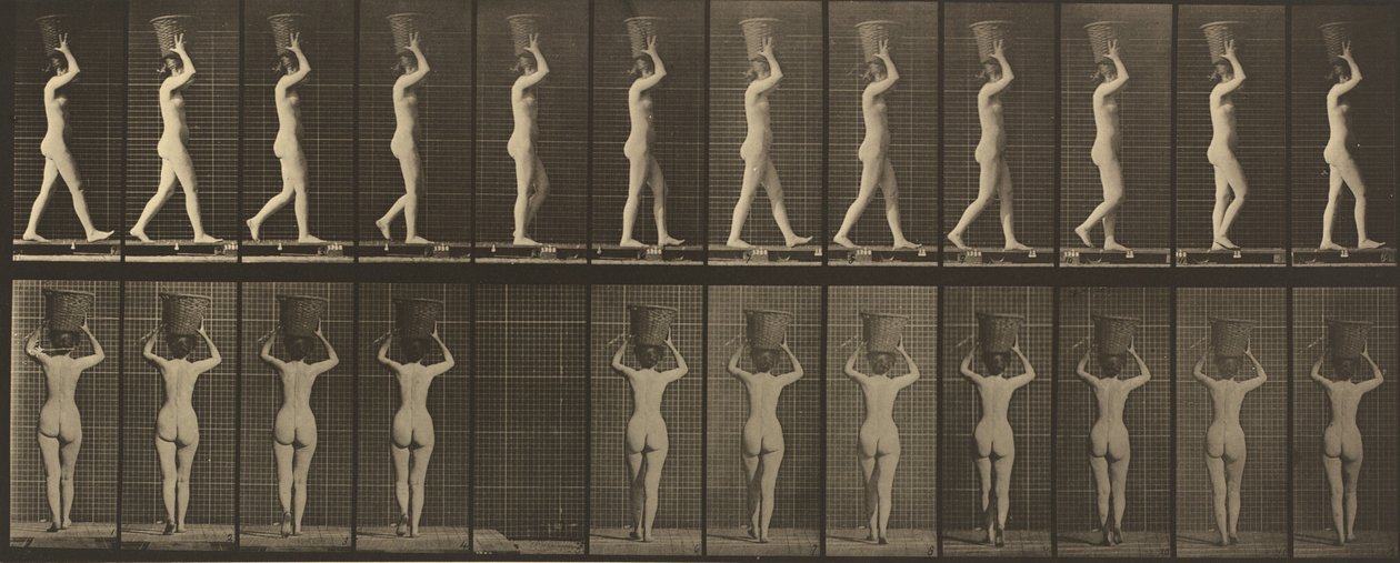 Numer płyty 34. Chodzenie i noszenie 15-funtowego. kosz na głowie, ręce wzniesione, 1887 r. autorstwa Eadweard Muybridge