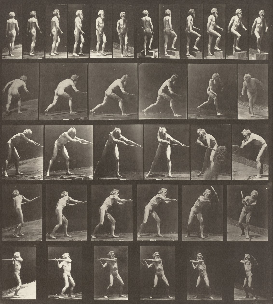 Numer płyty 521. O: Chodzenie. B: Wchodzenie o stopień. C: Rzucanie dyskiem. D: Łopatą..., 1887. autorstwa Eadweard Muybridge