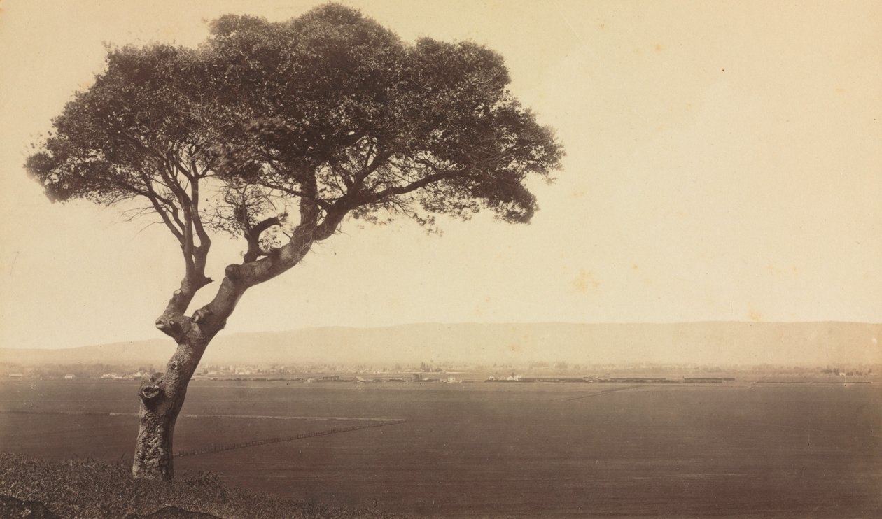 Krajobraz bez tytułu w pobliżu Watsonville, Kalifornia, ok. 1879. autorstwa Eadweard Muybridge