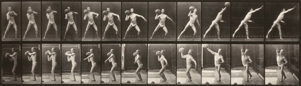 Ruch zwierząt (płytka 319) (Człowiek rzucający piłką) autorstwa Eadweard Muybridge