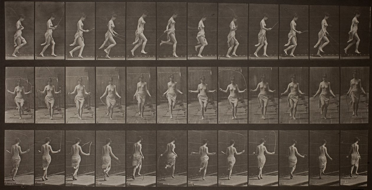 Ruch zwierząt, płyta 174 autorstwa Eadweard Muybridge