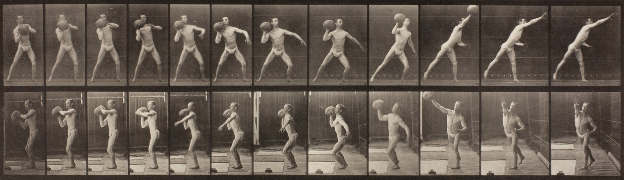 Lokomocja zwierząt, płyta 319, 1887 autorstwa Eadweard Muybridge