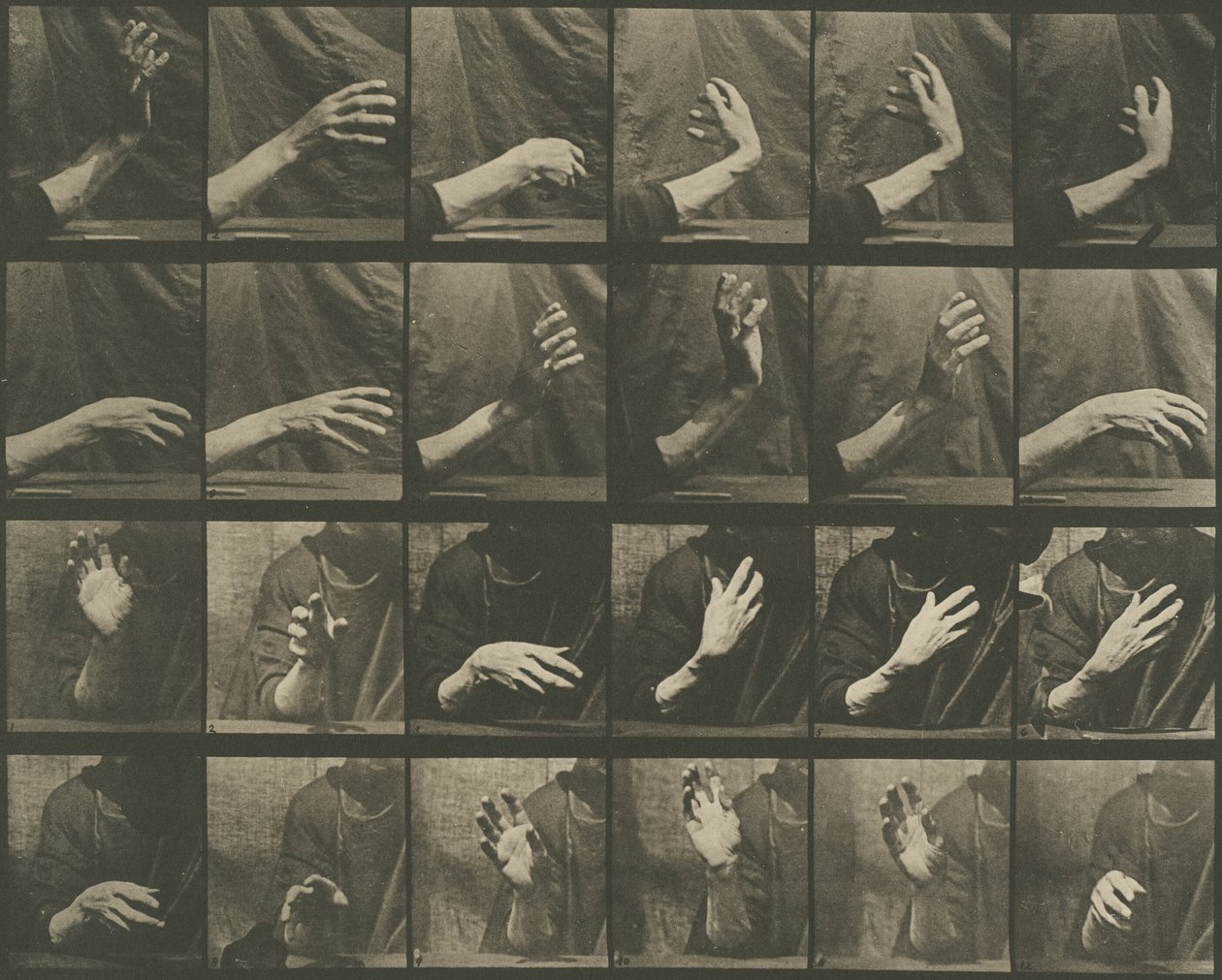Ruch zwierząt, płyta 535 autorstwa Eadweard Muybridge