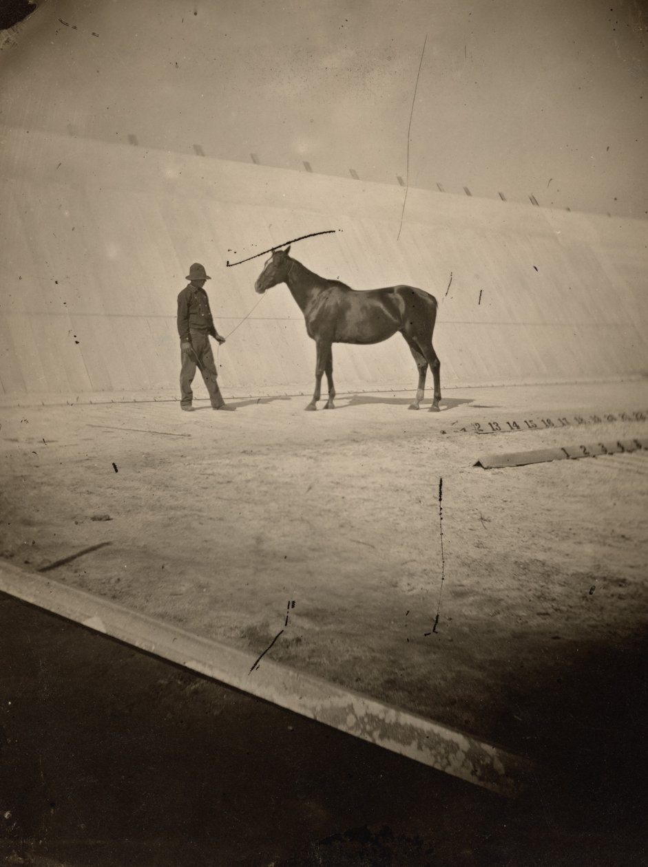 Szczegół toru w stadninie koni Lelanda Stanforda w Palo Alto, 1878-1879 (zdjęcie) autorstwa Eadweard Muybridge