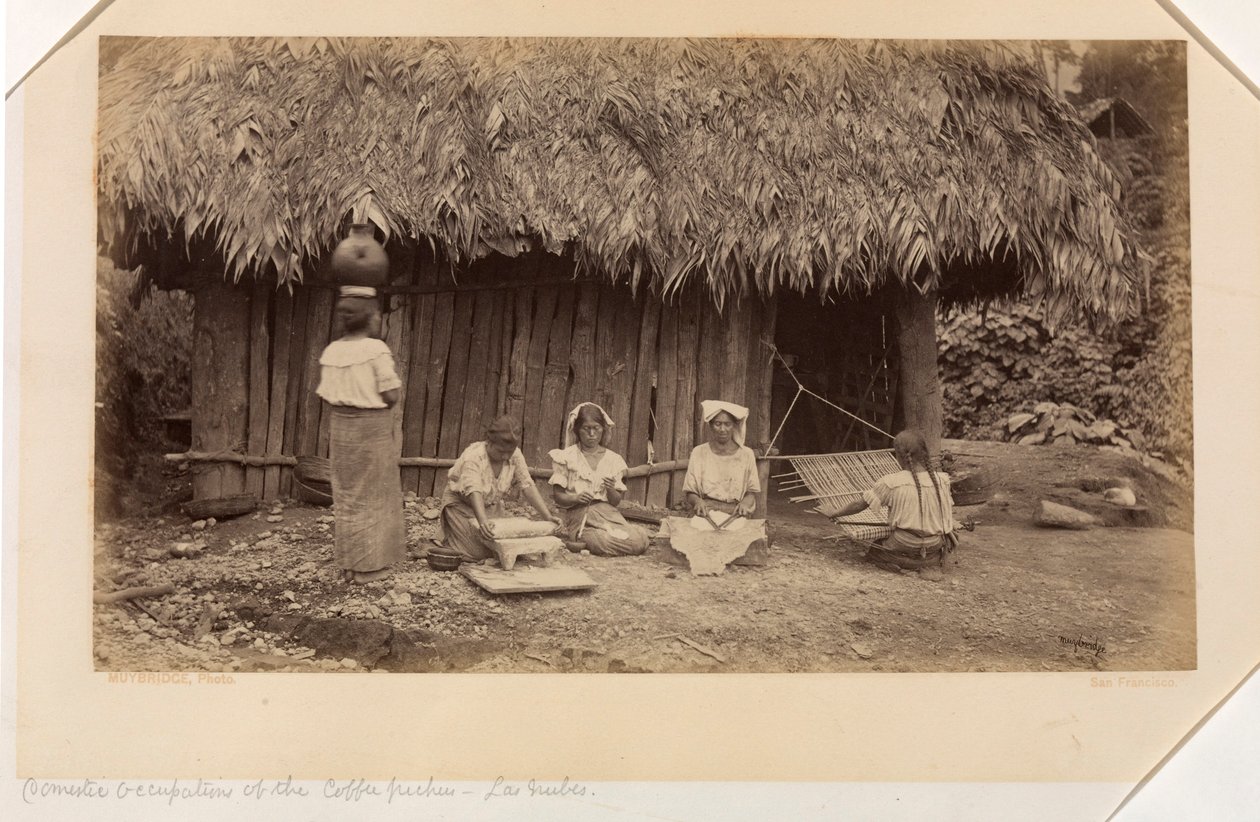Zajęcia domowe zbieraczy kawy, Las Nubes, Gwatemala autorstwa Eadweard Muybridge